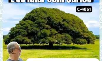 Imagem 3: Prédio para venda tem 700 m² de área, de esquina em Marco - Belém - PA