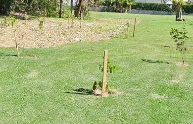 Imagem 3: Terreno à venda, 1435 m² por R$ 1.298.000,00 - Sambaqui - Florianópolis/SC