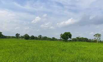 Imagem 6: Sítio em Nossa Senhora do Livramento à venda