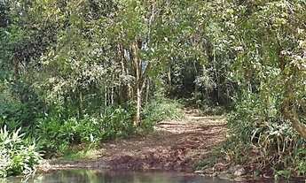 Imagem: Sítio / Chácara para Venda em Picada Café