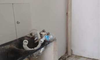 Imagem 6: BJ09 CASA A VENDA NA SUSSUARANA