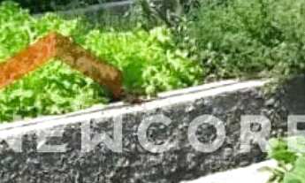 Imagem 7: Lote em Rua José Carlos da Silva - Jardim Alto das Árvores - Pirassununga/SP