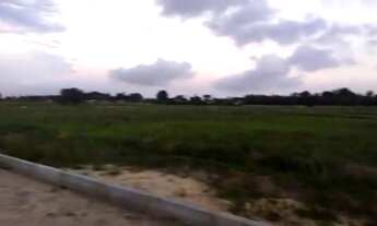 Imagem: Vendo terrenos na terra dura