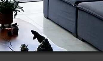 Imagem: Casa no condomínio Águas da Serra/Temporada