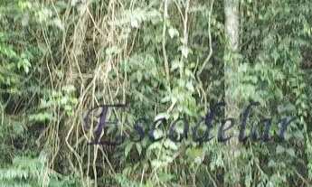 Imagem 2: Terreno à venda, 1400 m² por R$ 380.000,00 - Sausalito - Mairiporã/SP