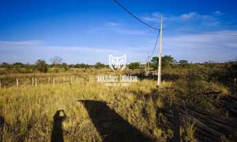 Imagem 2: FAZENDINHA DE OPORTUNIDADE DE 120 HA PLANA PARA PLANTIO OU PECUARIA NA REGIÃO DE PIRAPORA