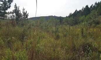 Imagem: Área Rural 5 Alqueires - 3 Barras de Cima