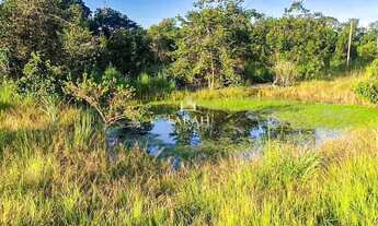 Imagem 7: Fazenda - 360 hectares - 74, 38 Alqueires