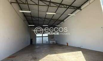 Imagem 3: Galpão para aluguel, GOIÁS - ARAGUARI/MG