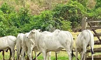 Imagem 3: Aparecida de Goiânia - Casa no Setor Oliveira codigo: 162177
