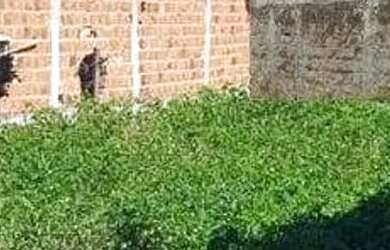Imagem 4: Lote à venda em rua pública, MOSQUEIRO, Aracaju, SE