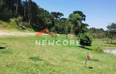 Imagem 7: Chácara em Rua Pedro Buher - Agarau - São José dos Pinhais/PR