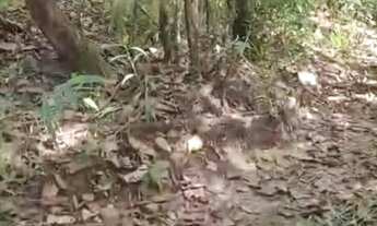 Imagem 6: Terreno tepequem