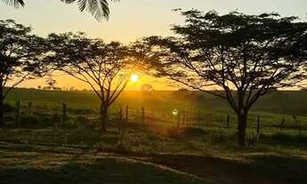 Imagem: Terreno para chácara com bom acesso