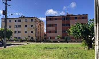 Imagem 3: Parque dos manguezais 3/4