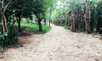 Imagem 3: Chácara a venda com 10mil metros