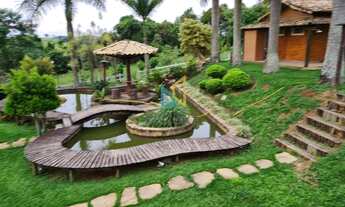 Imagem 2: Fazenda com 200 hectares em Piedade dos Gerais