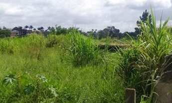 Imagem 5: Terreno à venda, 14500 m² por R$ 2.000.000 - Residencial Marco Polo - Vargem Grande Paulis