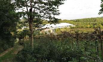 Imagem 6: GARIBALDI - Chácara - Vale Dos Vinhedos