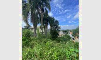 Imagem 3: TERRENO QUATRO BARRAS - PR