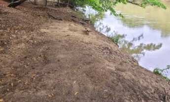 Imagem 4: Vendo chacara 2000m