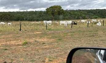 Imagem 15: Fazenda á 100km de Cuiabá à venda, 3150000 m² por R$ 4.725.000 - Zona Rural - Chapada dos