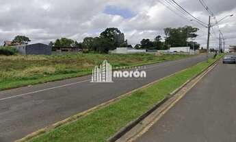 Imagem 4: TERRENO À VENDA EM CARAMBEÍ