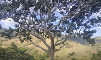 Imagem 7: VENHA APROVEITAR GRANDE OPORTUNIDADE TERRENOS COM VISTA SURREAL E CACHOEIRA C PISCINA NATU