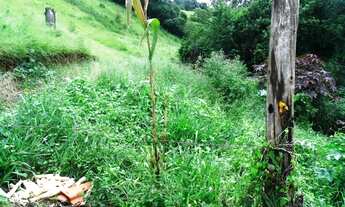 Imagem 7: Terreno no asfalto Bairro da Faisqueira