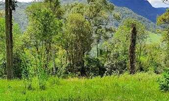 Imagem 5: Imóvel Rural/Terreno Rural