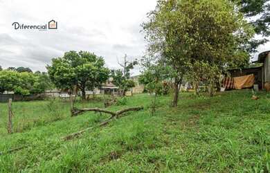 Imagem 5: Terreno à venda, 1958 m² por R$ 2.850.000,00 - Orleans - Curitiba/PR