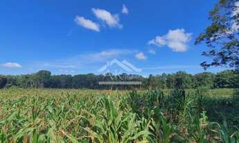 Imagem 6: Área de terras magnífica em Nova Petrópolis na serra gaúcha