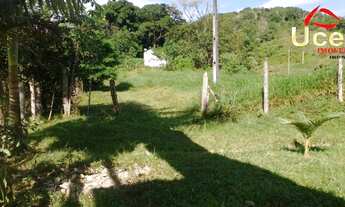 Imagem 6: V836- Excelente Sítio para venda em Sete Barras - Cod Imovel V836