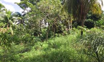 Imagem 4: Lote/Terreno para venda tem 10000 metros quadrados em Vida Nova - Lauro de Freitas - BA