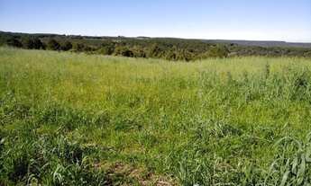 Imagem 4: Lapa - 50 Alqueires - Plantando 18 alqueires