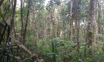 Imagem 4: Terreno para Venda em Embu-Guaçu, Congonhal