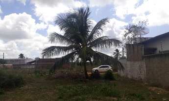 Imagem 3: Terreno pechincha em parparnamirim