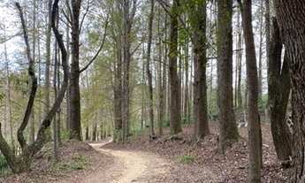 Imagem 7: TERRENO A VENDA EM JUNDIAÍ NO CONDOMÍNIO ALTO PADRÃO PARQUE DOS MANACÁS NA REGIÃO DO BAIRR