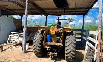 Imagem 5: Fazenda em Peixe -TO
