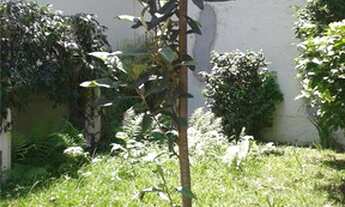 Imagem 5: Ótimo sobrado Casa com 3 dormitórios