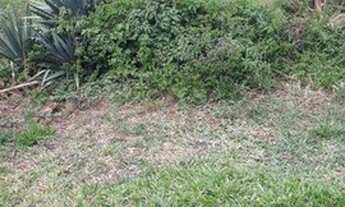 Imagem 3: Terreno à venda, 600 m² por R$ 89.000,00 - Marcilio Dias - Canoinhas/SC