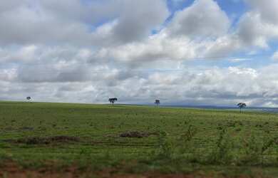 Imagem 7: Fazenda 140 alqueires em Paraúna - GO