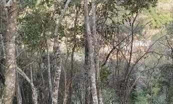 Imagem 3: Petrópolis - Terreno Padrão - Itaipava