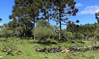 Imagem 5: Área Rural com 30,00ha de área total, para venda. Jararaca, Urubici (SC