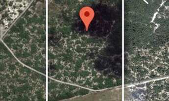 Imagem 4: Área com 10 hectáres em Macaíba na estrada de Vera Cruz - R$200.000,00 whatsapp:9.9416.193