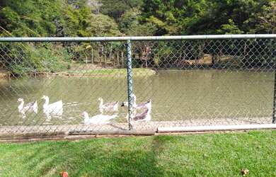 Imagem 3: Casa à Venda, Pedro do Rio, Petrópolis, RJ