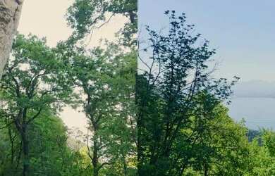 Imagem 3: Viajar para France