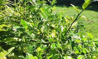 Imagem 5: Terreno em condomínio Albuquerque, 700m² plano