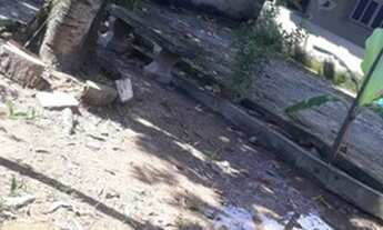 Imagem 9: Vendo Terreno de 360M² - Murado - Jardim Catarina Novo - SG - RJ