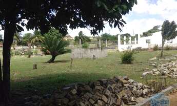 Imagem 3: SãO GONçALO DO AMARANTE - Terreno Padrão - Lagoa Azul
